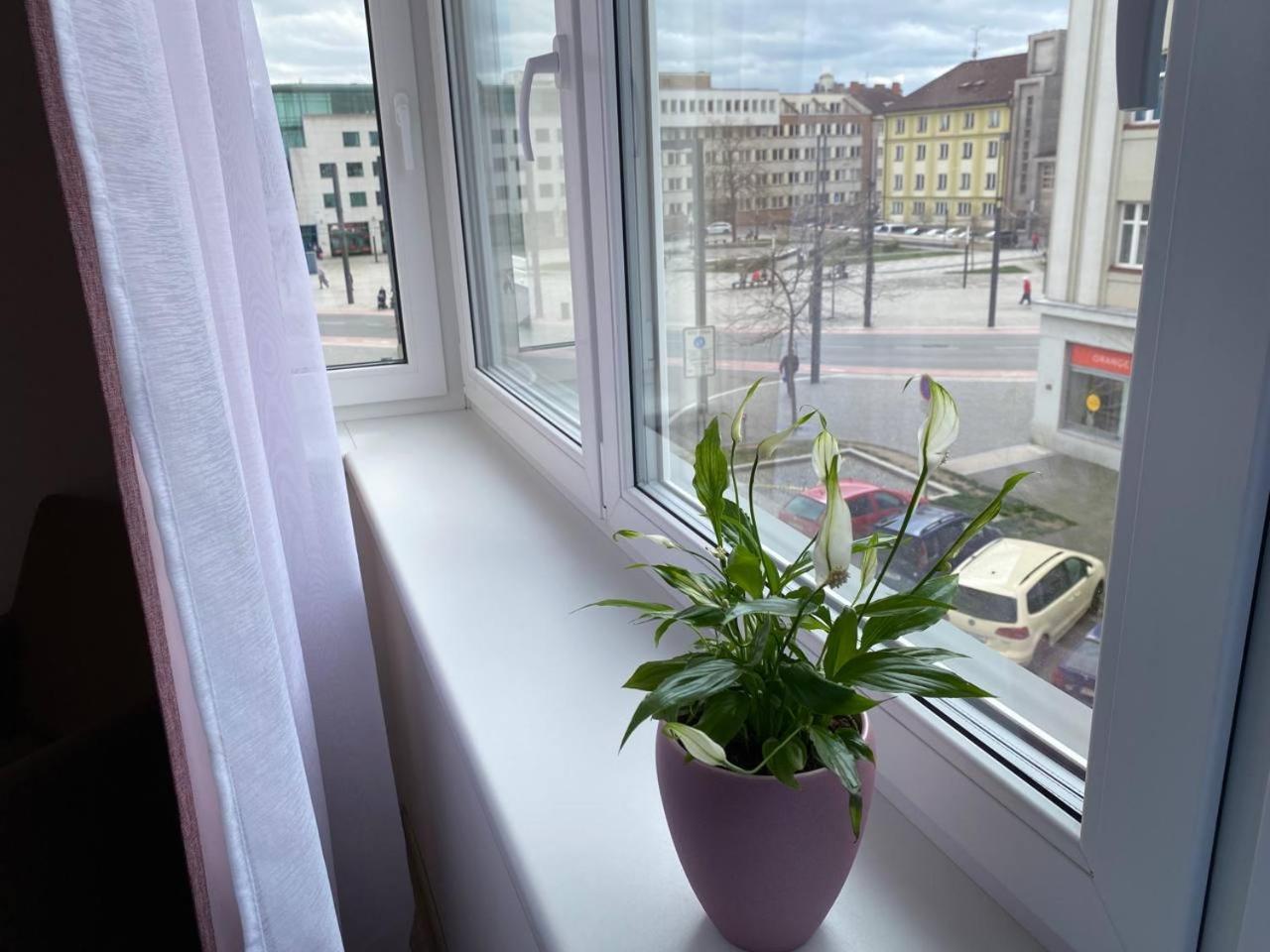 Apartment Perla Hradce 302